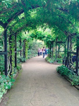 浜名湖花博2024に投稿された画像（2024/5/2）