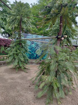 浜名湖花博2024に投稿された画像（2024/5/2）