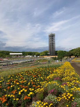 浜名湖花博2024に投稿された画像（2024/5/2）