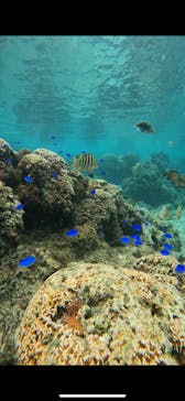 武藤潜水に投稿された画像（2024/5/2）