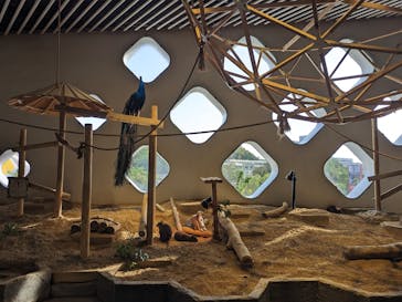 NIFREL（ニフレル）に投稿された画像（2024/5/2）