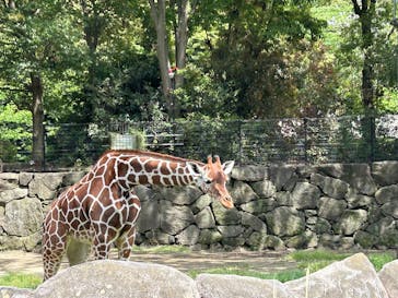横浜市立金沢動物園に投稿された画像（2024/5/2）