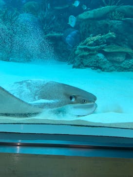 名古屋港水族館に投稿された画像（2024/5/2）