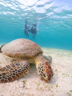 宮古島マリンショップSmileyに投稿された画像（2024/5/2）