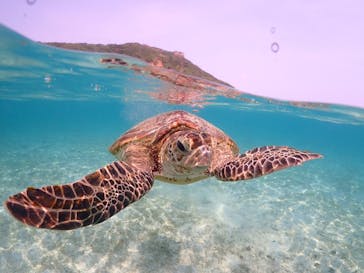 宮古島マリンショップSmileyに投稿された画像（2024/5/2）