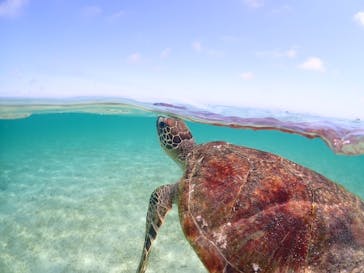 宮古島マリンショップSmileyに投稿された画像（2024/5/2）