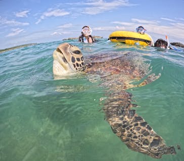 宮古島マリンショップSmileyに投稿された画像（2024/5/2）