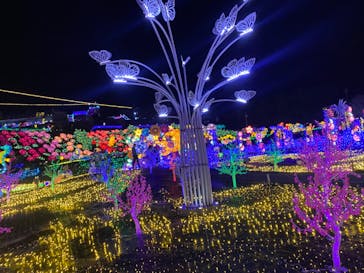 伊豆ぐらんぱる公園に投稿された画像（2024/4/27）