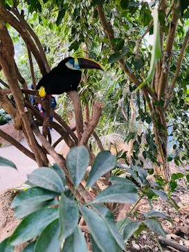 神戸どうぶつ王国に投稿された画像（2024/5/2）