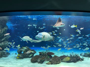 サンシャイン水族館に投稿された画像（2024/5/2）