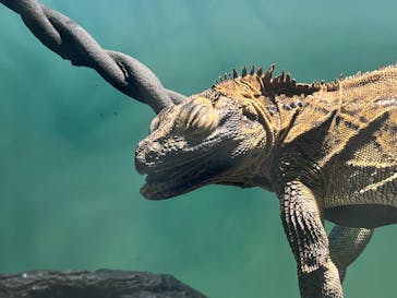 サンシャイン水族館に投稿された画像（2024/5/2）