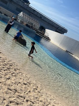 大分マリーンパレス水族館 「うみたまご」に投稿された画像（2024/5/2）