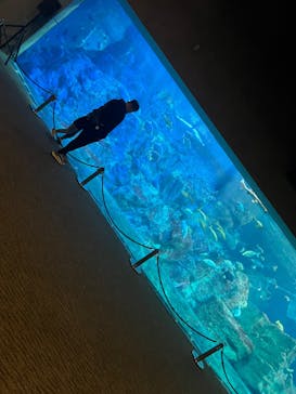 大分マリーンパレス水族館 「うみたまご」に投稿された画像（2024/5/2）