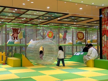 ザキッズ お台場デックス東京ビーチ店に投稿された画像（2024/5/2）