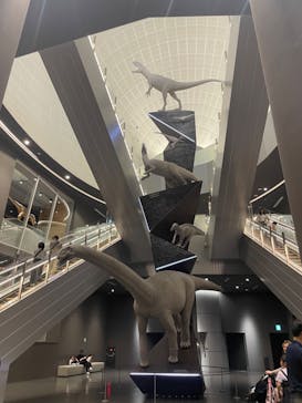 福井県立恐竜博物館に投稿された画像（2024/5/2）