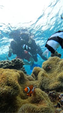 宮古島 ADVENTURE PiPi（ミヤコジマ アドベンチャー ピピ）に投稿された画像（2024/5/2）