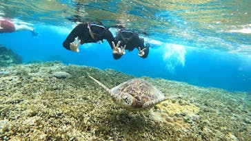 宮古島 ADVENTURE PiPi（ミヤコジマ アドベンチャー ピピ）に投稿された画像（2024/5/2）