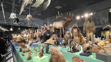 特別展「大哺乳類展３－わけてつなげて大行進」に投稿された画像（2024/5/2）