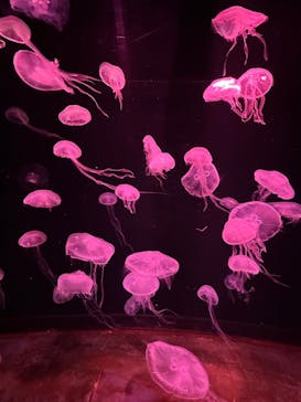 AOAO SAPPOROに投稿された画像（2024/5/2）