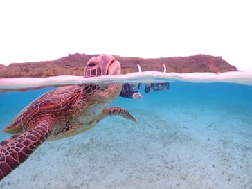 宮古島マリンショップSmileyに投稿された画像（2024/5/2）