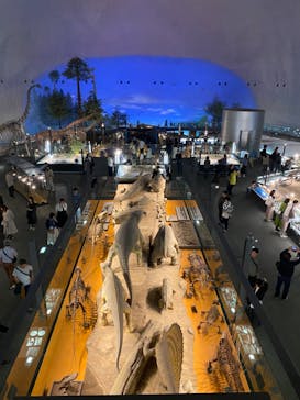 福井県立恐竜博物館に投稿された画像（2024/5/2）