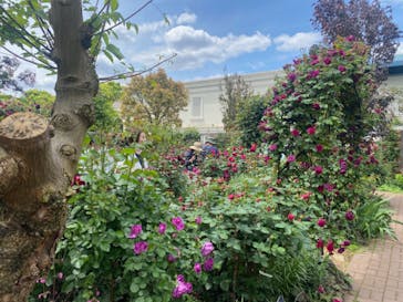 横浜イングリッシュガーデンに投稿された画像（2024/5/2）