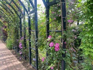 横浜イングリッシュガーデンに投稿された画像（2024/5/2）