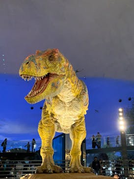福井県立恐竜博物館に投稿された画像（2024/5/2）