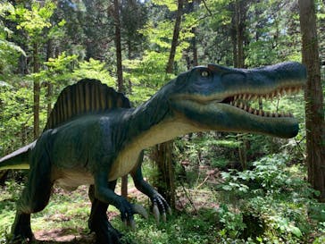 福井県立恐竜博物館に投稿された画像（2024/5/2）