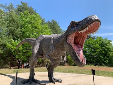 福井県立恐竜博物館に投稿された画像（2024/5/2）