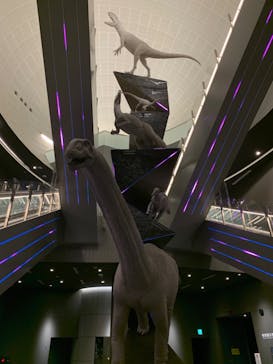 福井県立恐竜博物館に投稿された画像（2024/5/2）