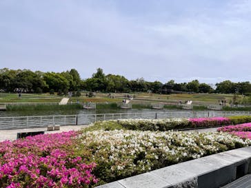 浜名湖花博2024に投稿された画像（2024/5/2）