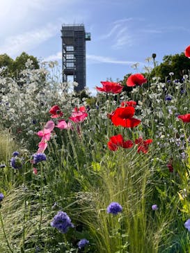 浜名湖花博2024に投稿された画像（2024/5/2）