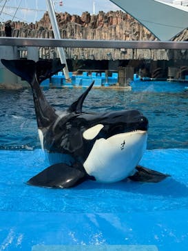 名古屋港水族館に投稿された画像（2024/5/2）