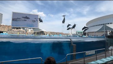 名古屋港水族館に投稿された画像（2024/5/2）