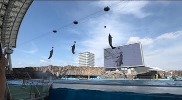 名古屋港水族館に投稿された画像（2024/5/2）