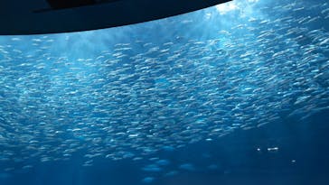 名古屋港水族館に投稿された画像（2024/5/2）