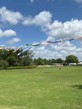 千葉こどもの国 キッズダムに投稿された画像（2024/5/2）