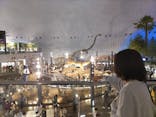 福井県立恐竜博物館に投稿された画像（2024/5/2）