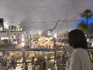 福井県立恐竜博物館に投稿された画像（2024/5/2）