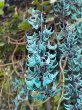 熱川バナナワニ園に投稿された画像（2024/5/2）