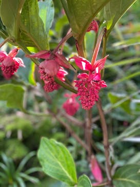 熱川バナナワニ園に投稿された画像（2024/5/2）