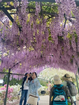 浜名湖花博2024に投稿された画像（2024/5/2）