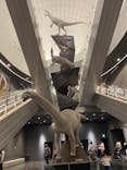 福井県立恐竜博物館に投稿された画像（2024/5/2）