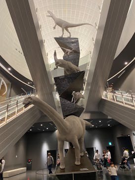 福井県立恐竜博物館に投稿された画像（2024/5/2）