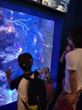 沖縄美ら海水族館に投稿された画像（2024/5/2）