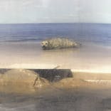 新江ノ島水族館に投稿された画像（2024/5/3）