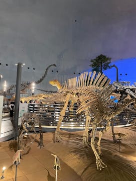 福井県立恐竜博物館に投稿された画像（2024/5/2）