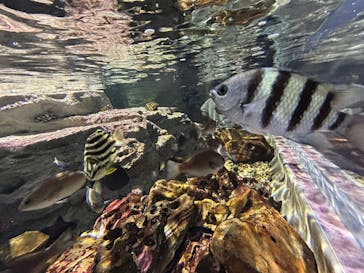 名古屋港水族館に投稿された画像（2024/5/2）
