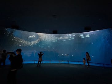 名古屋港水族館に投稿された画像（2024/5/2）